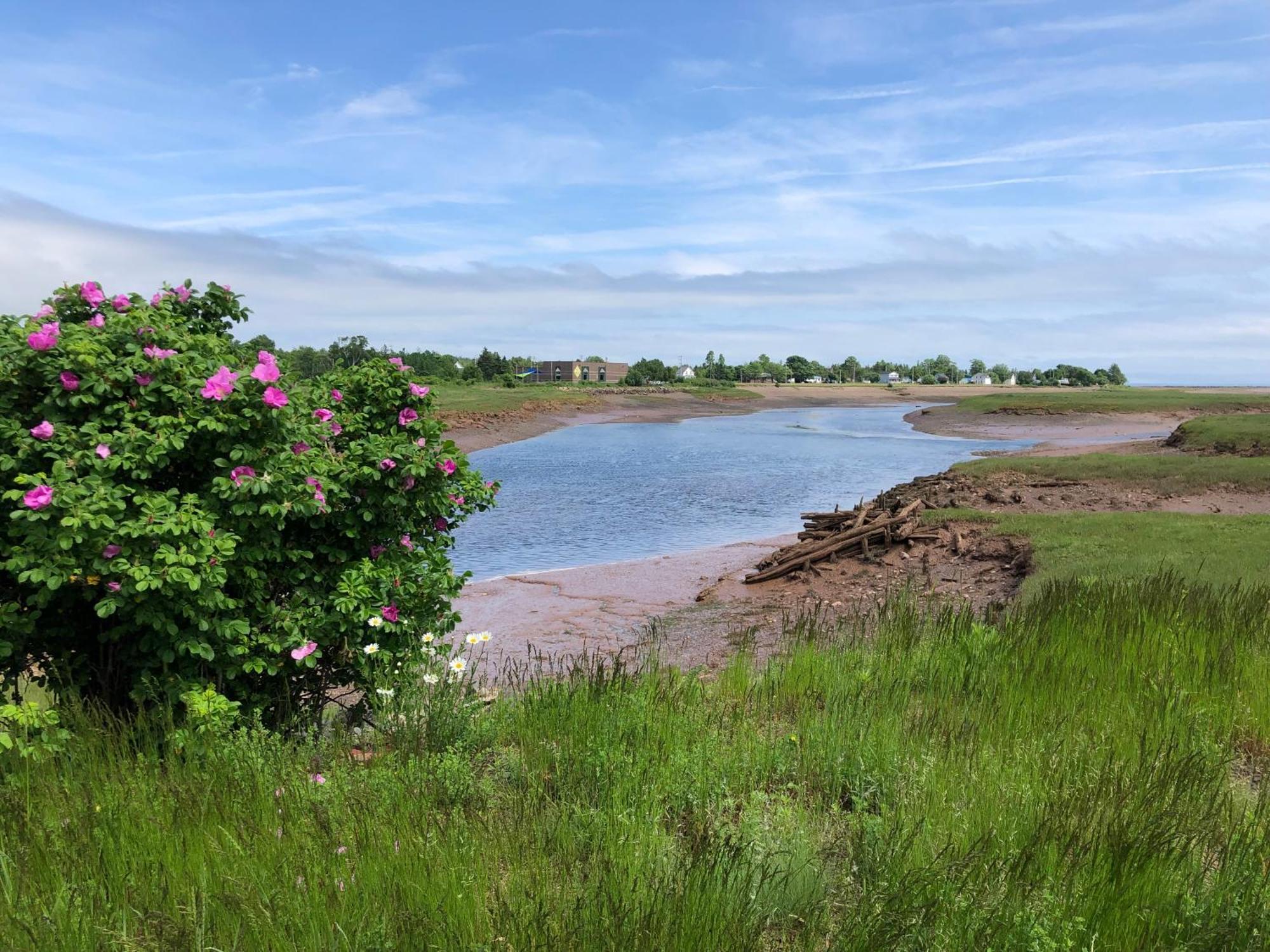 Pleasant Street Inn Parrsboro Ngoại thất bức ảnh